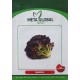 Meta Global Seed - Marul Mor Lolorosso karadeniz 2 gr