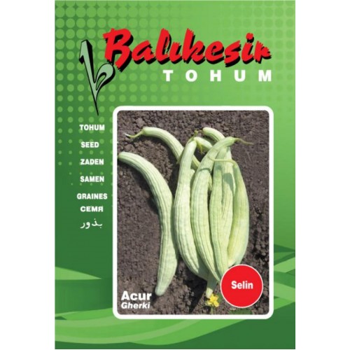 ACUR SELİN 25 GR