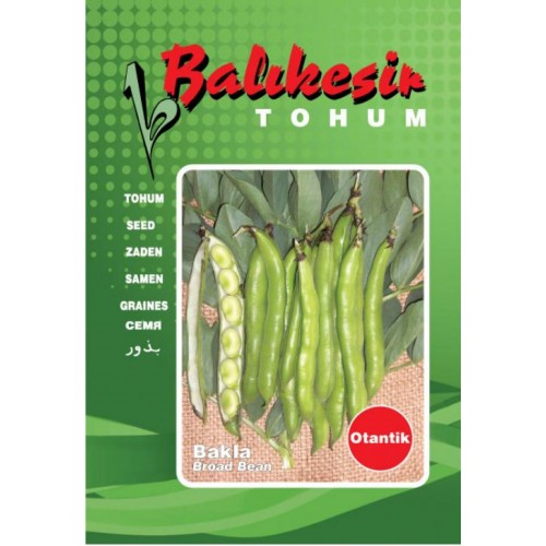 BAKLA OTANTİK 1 KG