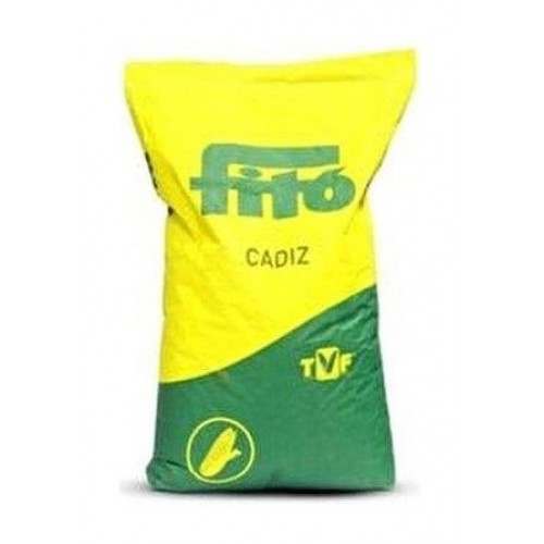 Fito Semillas Mısır tohumu CADIZ 50.000 dane Fito Semillas Mısır tohumu CADIZ 50.000 dane