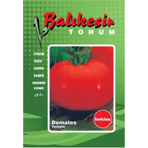 Domates Tohumu İNVİCTUS Balıkesir 100 gr Teneke - Sebze Tohumu Domates Tohumu İNVİCTUS Balıkesir 100 gr Teneke - Sebze Tohumu